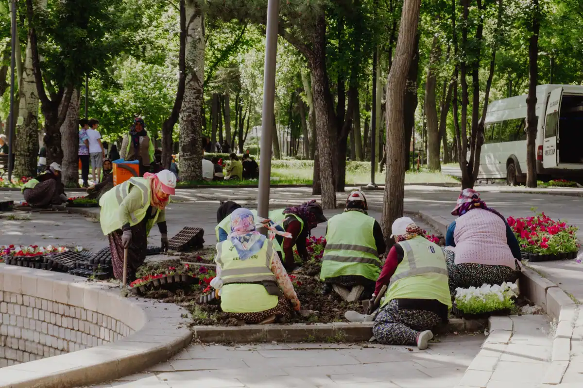Grup de adulți care plantează flori într-un parc însorit