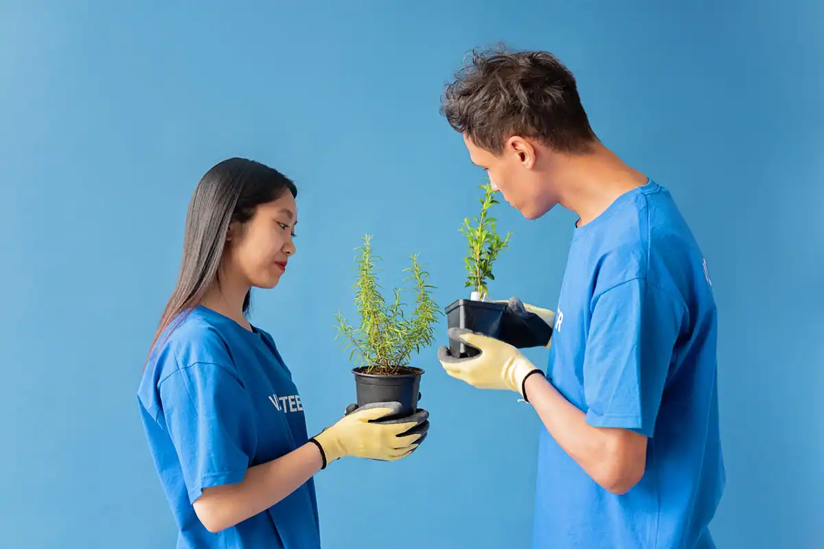 Doi voluntari care îngrijesc împreună plante în ghivece